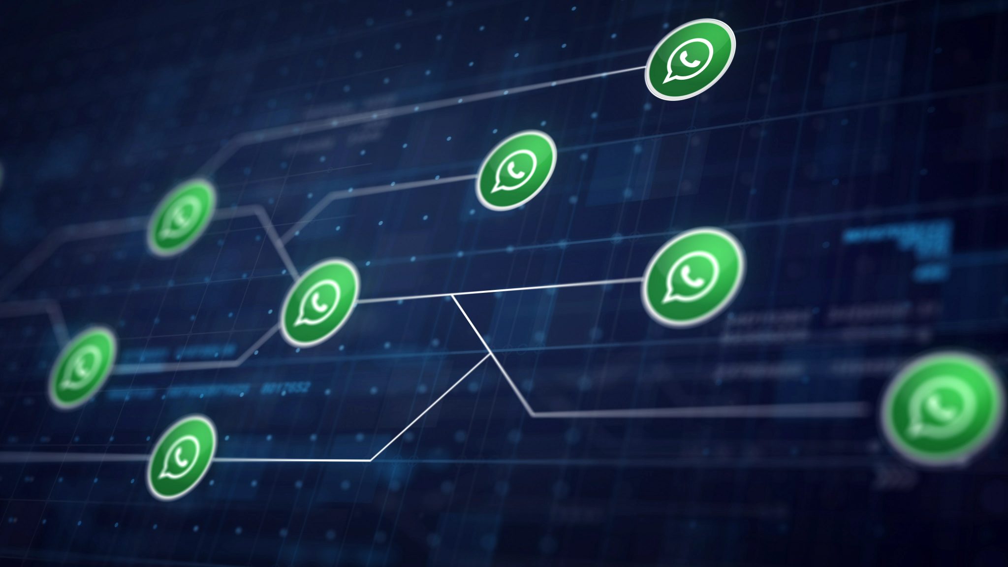 WhatsApp Business per a millorar la comunicació amb els teus clients 39-1